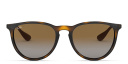 Shop Ray-Ban Erika Classic Panthos Sunglasses online.