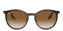 Shop Ray-Ban Unisex Panthos Sunglasses online.