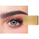 Shop DAHAB Monthly Color Contact Lenses - Lumirere Gray online.