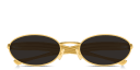 Shop BOTTEGA VENETA Sardine Unisex Oval Sunglasses online.