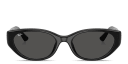 Shop Ray-Ban Logo Signature Unisex Pillow Sunglasses online.