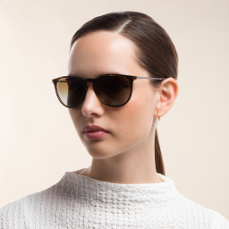 Ray-Ban Erika Classic Panthos Sunglasses in Tortoise – Product Photo 6