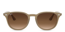 Ray-Ban Unisex Panthos Sunglasses in Brown – Product Photo 1