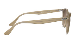 Ray-Ban Unisex Panthos Sunglasses in Brown – Product Photo 3