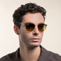 Ray-Ban Unisex Panthos Sunglasses in Brown – Product Photo 7