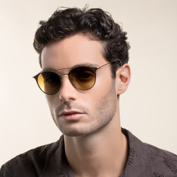 Ray-Ban Unisex Panthos Sunglasses in Brown – Product Photo 8
