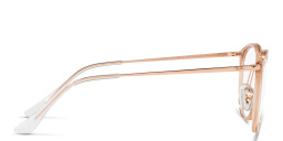 Ray-Ban Panthos Eyeglasses in Brown – Product Photo 3