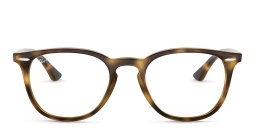 Ray-Ban Unisex Panthos Eyeglasses in Havana – Product Photo 1