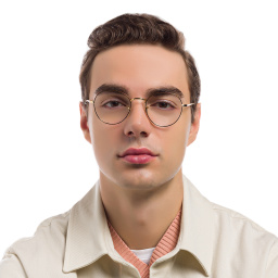 Ray-Ban David Unisex Panthos Eyeglasses in Havana On Gold – Product Photo 7