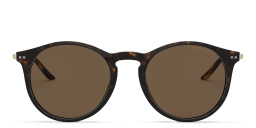 GIORGIO ARMANI Round Sunglasses in Havana – Product Photo 1