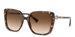 BVLGARI Oversized Square Sunglasses in Dark Havana – Product Photo 2