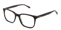 Shop EYE'M Square Eyeglasses in Havana online.