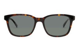 EYE'M Square Sunglasses in Havana – Product Photo 1
