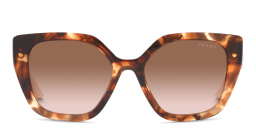 PRADA Cat Eye Sunglasses in Caramel Tortoise – Product Photo 1