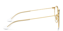 Shop Ray-Ban Junior Kids Panthos Eyeglasses in Brown online.