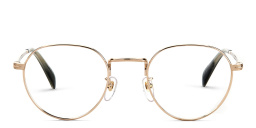 Shop DAVID BECKHAM Panthos Eyeglasses in Gold Horn online.