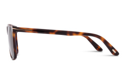 TOM FORD Fletcher Square Sunglasses in Havana – Product Photo 4