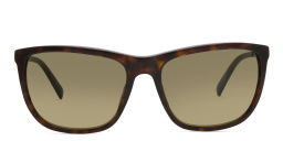EYE'M Square Sunglasses in Havana – Product Photo 1