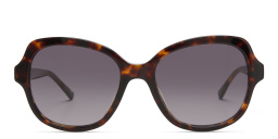 Shop EYE'M Square Sunglasses in Havana online.
