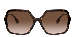 BURBERRY Square Sunglasses in Dark Havana – Product Photo 1
