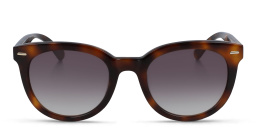 Shop Calvin Klein Round Sunglasses in Havana online.