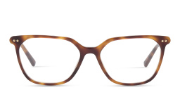 Shop EYE'M Square Eyeglasses in Havana online.