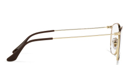 Ray-Ban Unisex Square Eyeglasses in Brown On Gold – Product Photo 3