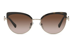 Shop BVLGARI Cat Eye Sunglasses in Havana online.