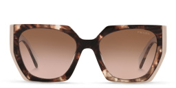 Shop PRADA Rectangle Sunglasses in Tortoise Caramel/Powder online.