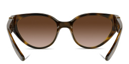Dolce & Gabbana Cat Eye Sunglasses in Havana – Product Photo 4