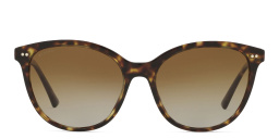 BVLGARI Cat Eye Sunglasses in Havana – Product Photo 1