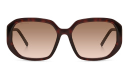 Shop JIMMY CHOO Karly/F/S Square Sunglasses in Havana online.