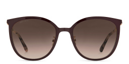 Shop JIMMY CHOO Oria/G/SK Cat Eye Sunglasses in Gold Copper online.