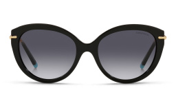 TIFFANY Cat-Eye Sunglasses in Black – Product Photo 1