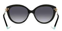 TIFFANY Cat-Eye Sunglasses in Black – Product Photo 4