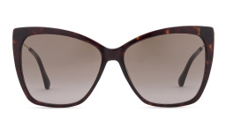 JIMMY CHOO Seba/S Unisex Cat Eye Sunglasses in Havana – Product Photo 1