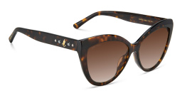 Shop JIMMY CHOO Sinnie/G/S Cat Eye Sunglasses in Havana online.