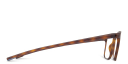 تسوق نظارات للقراءة للجنسين مولسكين أونلاين.