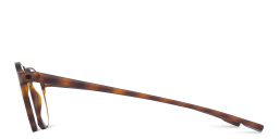 تسوق نظارات للقراءة للجنسين مولسكين أونلاين.