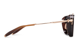 Shop AKONI Echo Aviator Sunglasses in Havana online.