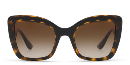 Shop Dolce & Gabbana Cat Eye Sunglasses in Havana online.