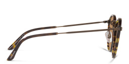 Shop GIORGIO ARMANI Panthos Sunglasses in Havana online.