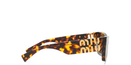 sm-177705_3