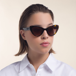 PRADA Cat Eye Sunglasses in Havana – Product Photo 6