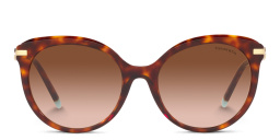 TIFFANY Cat-Eye Sunglasses in Havana – Product Photo 1