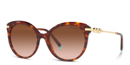 Shop TIFFANY Cat-Eye Sunglasses in Havana online.