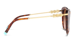 Shop TIFFANY Cat-Eye Sunglasses in Havana online.