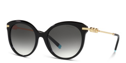 TIFFANY Cat-Eye Sunglasses in Black – Product Photo 2