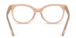 Dolce & Gabbana Cat-Eye Eyeglasses in Transparent Beige – Product Photo 4