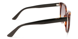 Shop Calvin Klein Cat-Eye Sunglasses in Brown online.